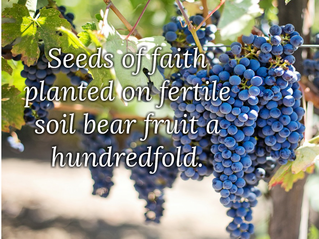 Plant seeds of faith
