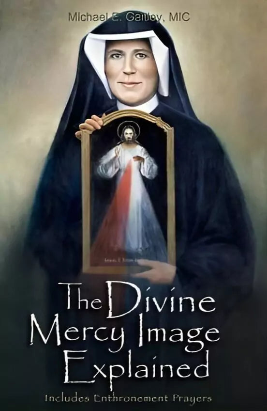 Divine Mercy Image Explained booklet - By Gaitley, Fr. Michael E (Author)