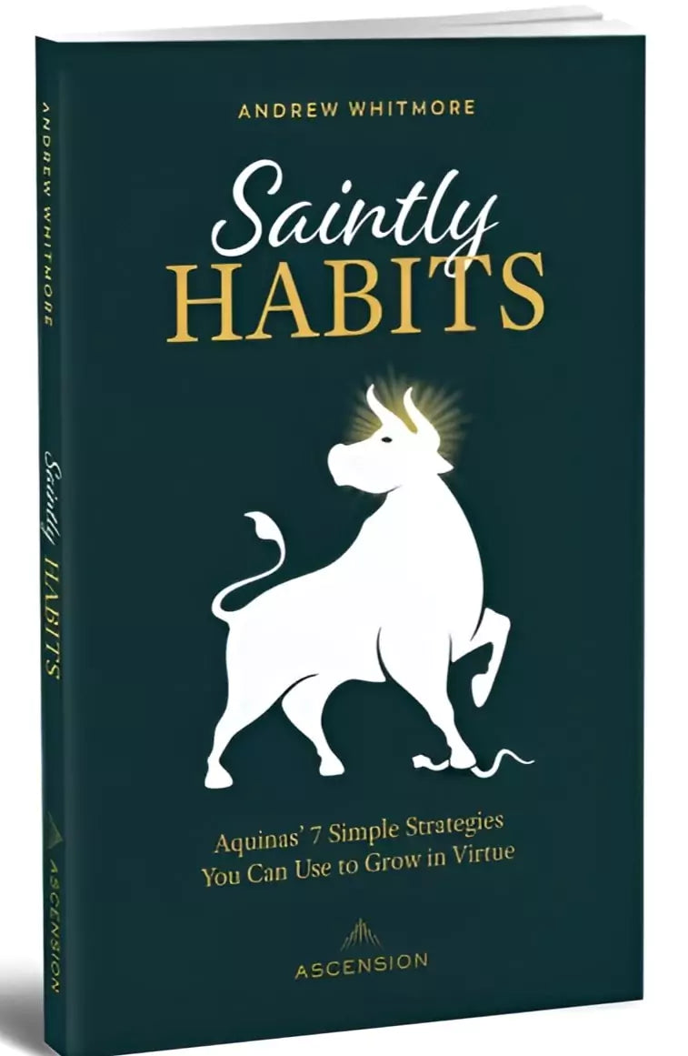 Saintly Habits: Aquinas' 7 Simple Strategies You Can Use to Grow in Virtue